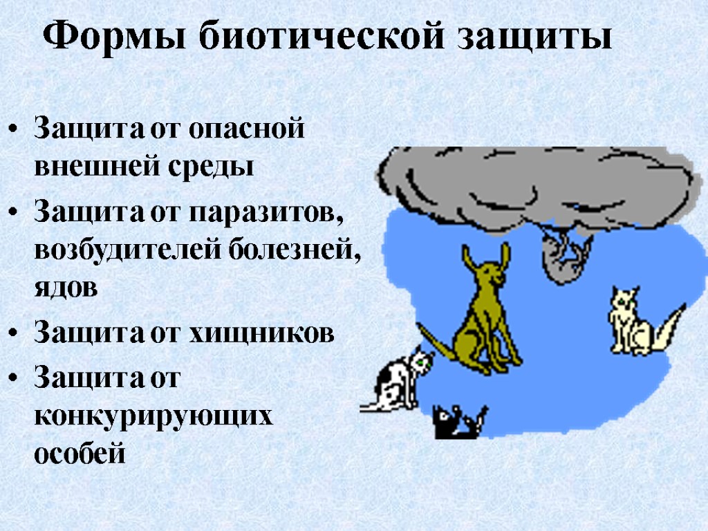 Формы биотической защиты Защита от опасной внешней среды Защита от паразитов, возбудителей болезней, ядов